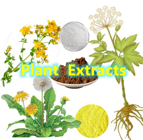 Plant Extracts