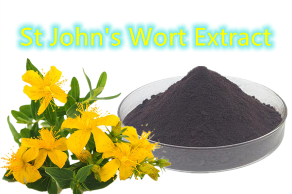 St John's Wort Extract