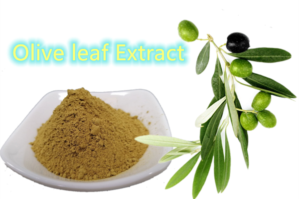 Olive leaf Extract